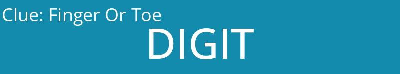 Finger Or Toe