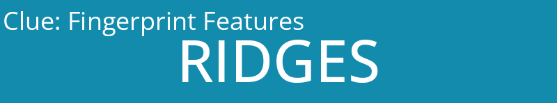 Fingerprint Features