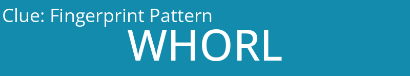 Fingerprint Pattern