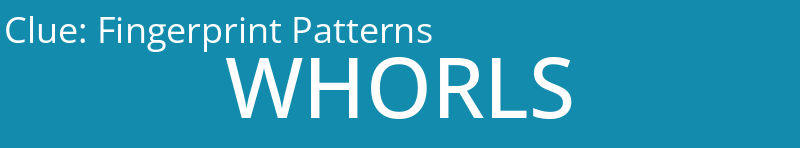 Fingerprint Patterns