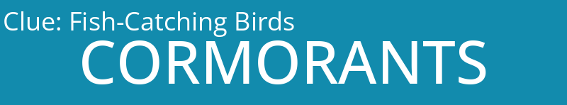Fish-Catching Birds