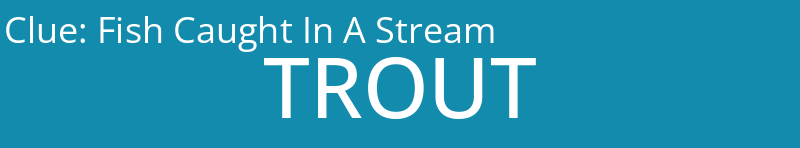 Fish Caught In A Stream