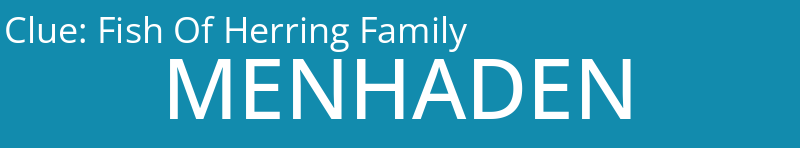 Fish Of Herring Family