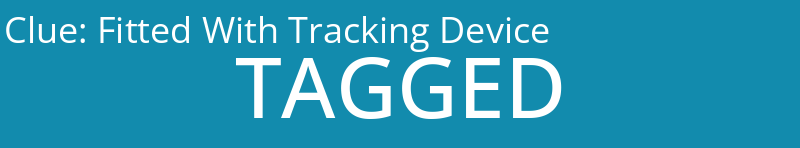 Fitted With Tracking Device