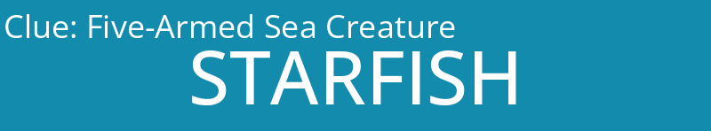 Five-Armed Sea Creature