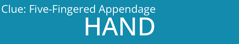 Five-Fingered Appendage
