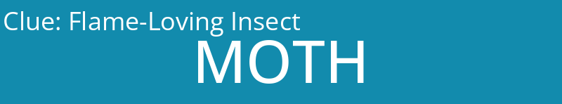 Flame-Loving Insect