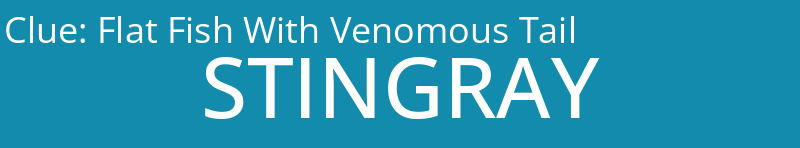 Flat Fish With Venomous Tail