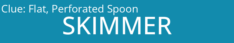 Flat, Perforated Spoon