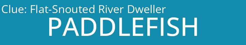 Flat-Snouted River Dweller
