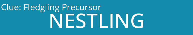 Fledgling Precursor