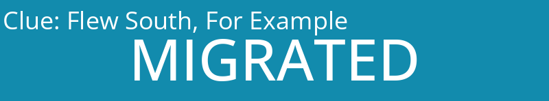 Flew South, For Example