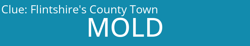 Flintshire's County Town