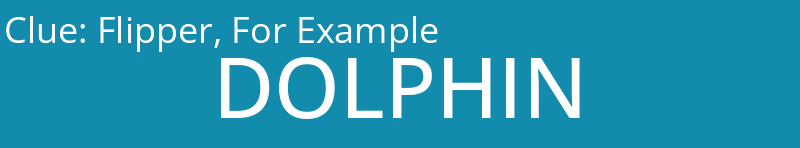 Flipper, For Example
