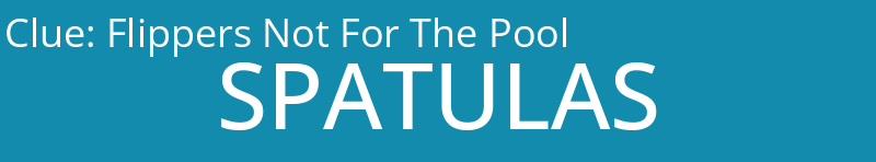 Flippers Not For The Pool