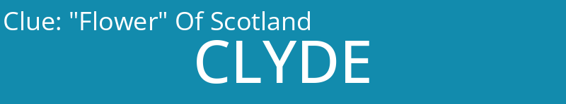 "Flower" Of Scotland