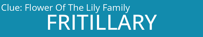 Flower Of The Lily Family