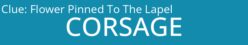 Flower Pinned To The Lapel