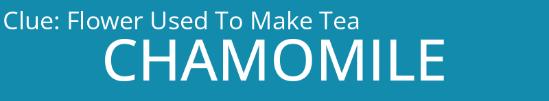 Flower Used To Make Tea