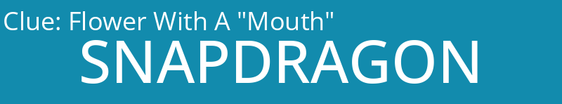 Flower With A "Mouth"