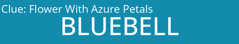 Flower With Azure Petals