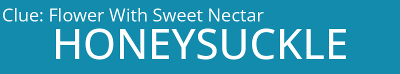 Flower With Sweet Nectar