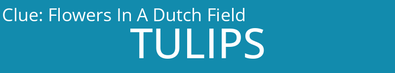 Flowers In A Dutch Field