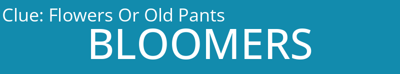 Flowers Or Old Pants