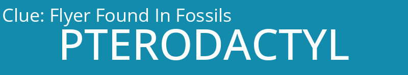 Flyer Found In Fossils