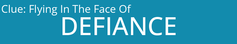 Flying In The Face Of