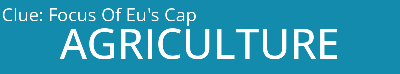 Focus Of Eu's Cap
