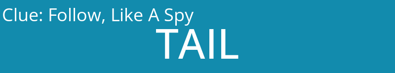 Follow, Like A Spy
