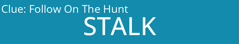 Follow On The Hunt