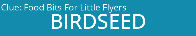 Food Bits For Little Flyers