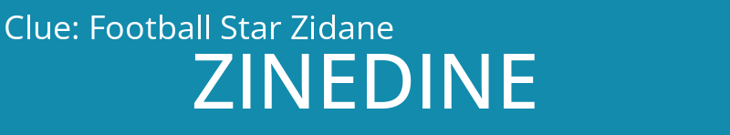 Football Star Zidane