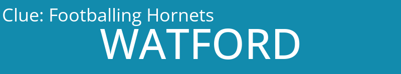 Footballing Hornets