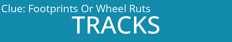 Footprints Or Wheel Ruts