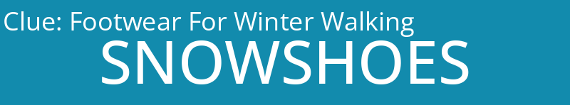Footwear For Winter Walking