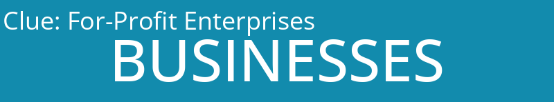 For-Profit Enterprises