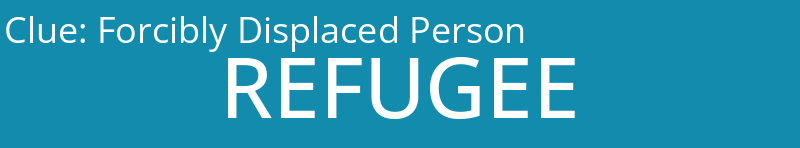 Forcibly Displaced Person