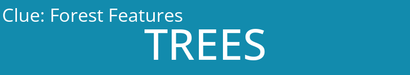Forest Features