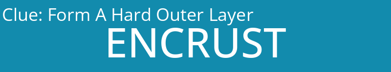 Form A Hard Outer Layer