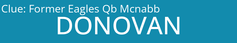 Former Eagles Qb Mcnabb