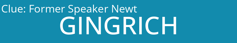 Former Speaker Newt