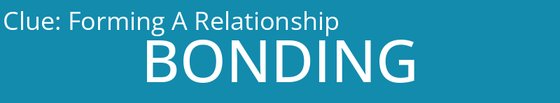 Forming A Relationship