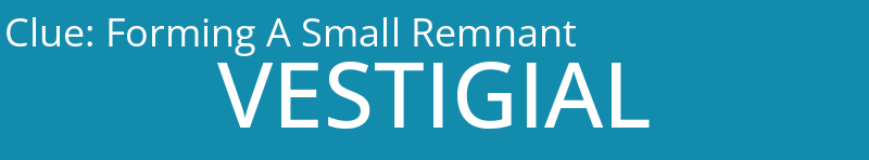 Forming A Small Remnant