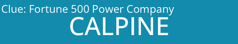 Fortune 500 Power Company