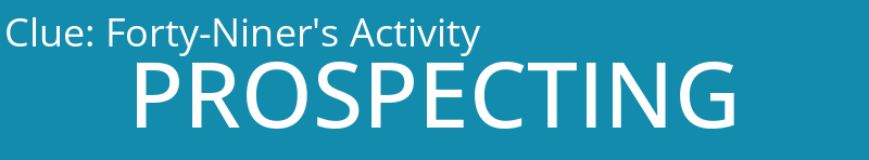 Forty-Niner's Activity