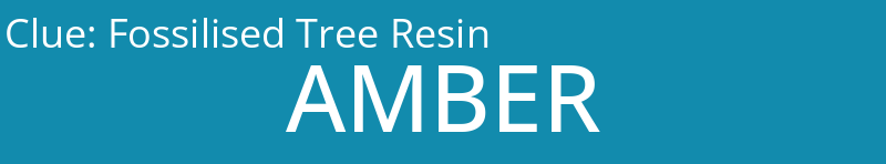 Fossilised Tree Resin