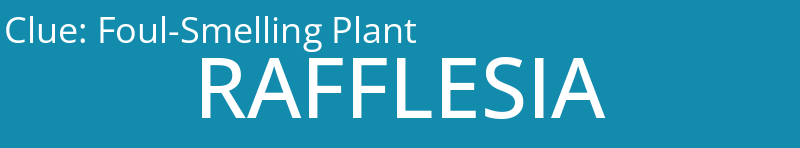 Foul-Smelling Plant